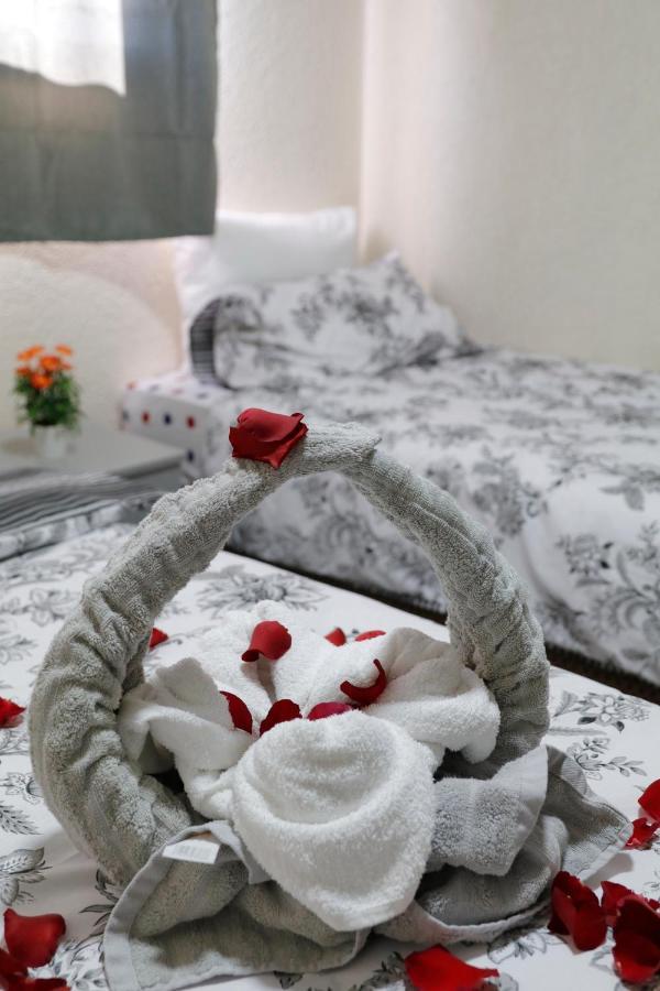 Motel Neve Midbar إيلات المظهر الخارجي الصورة